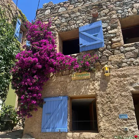 招待所 Maison De Village 科尔巴拉